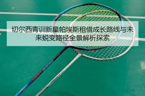 切尔西青训新星帕埃斯租借成长路线与未来蜕变路径全景解析探索